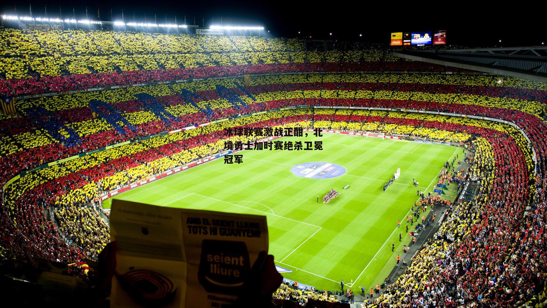 【杏彩体育平台】冰球联赛激战正酣，北境勇